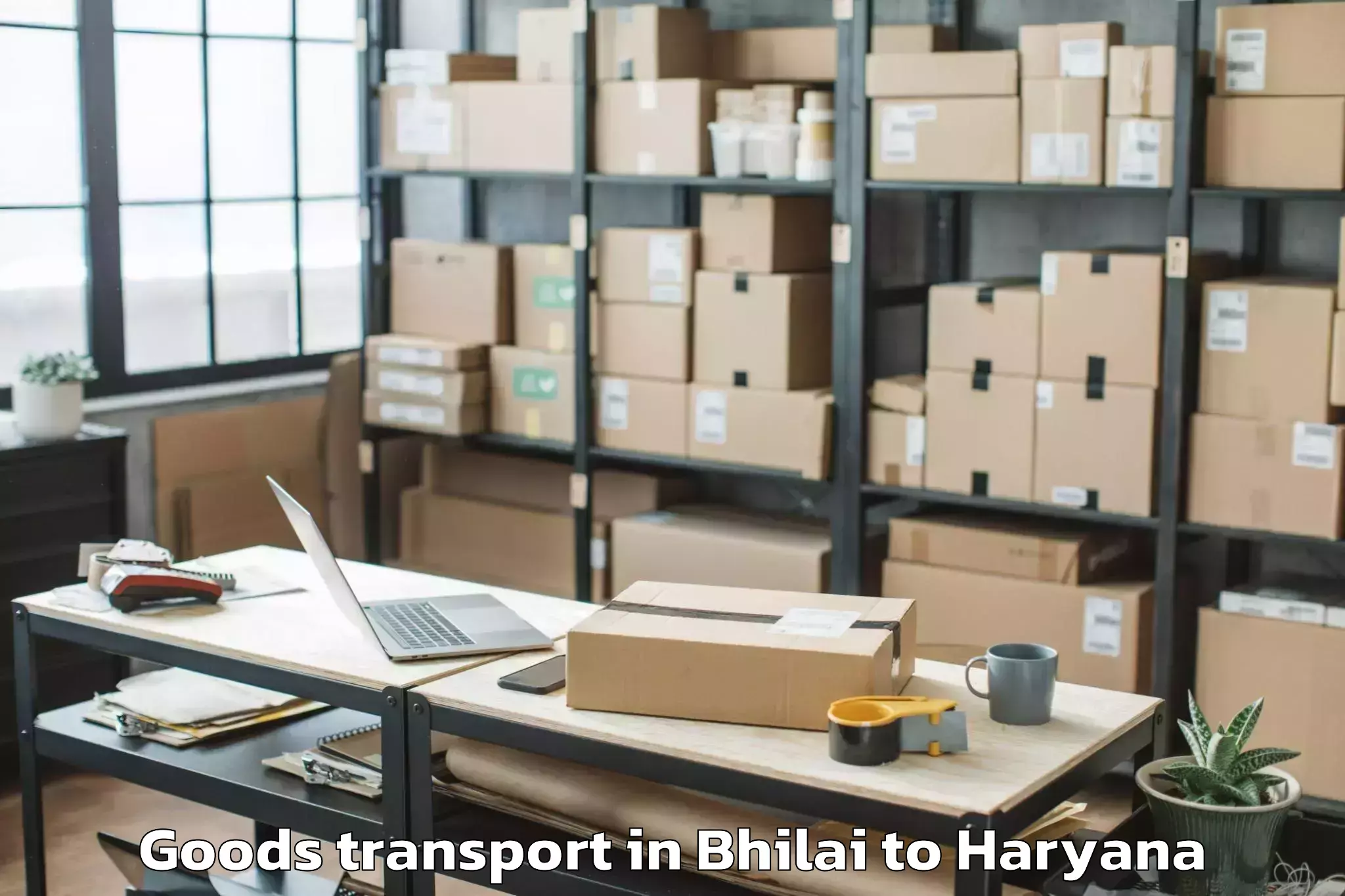 Easy Bhilai to Bawal Goods Transport Booking